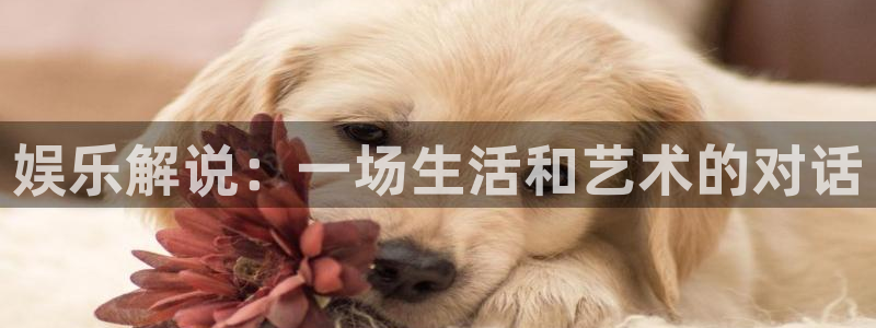 耀世娱乐app下载